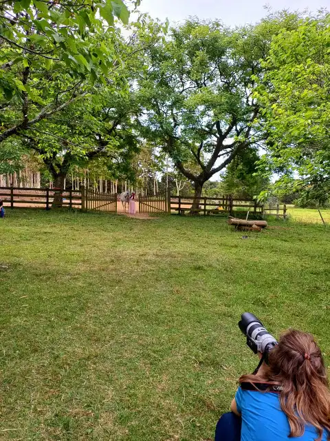 Experiência MF Horse
