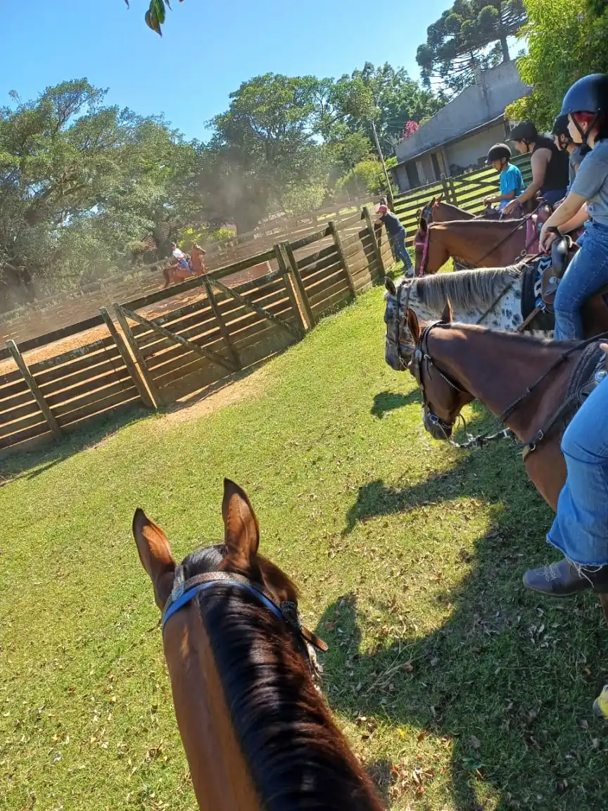 Baias MF Horse