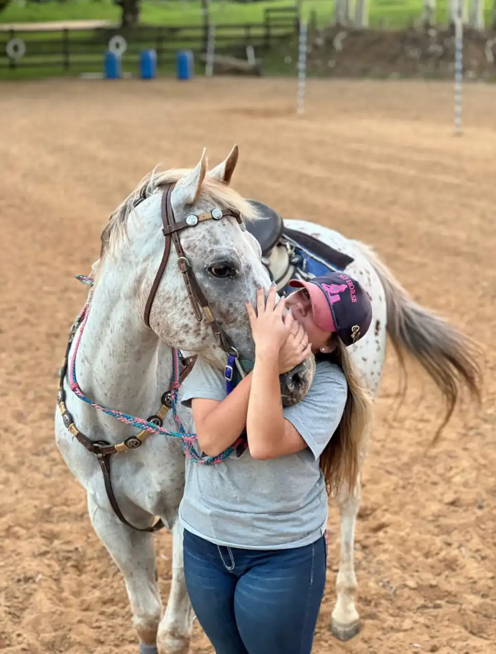 Área MF Horse
